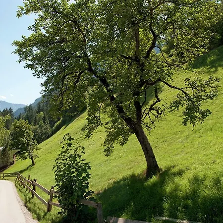 Blick Zum Apartment Mayrhofen